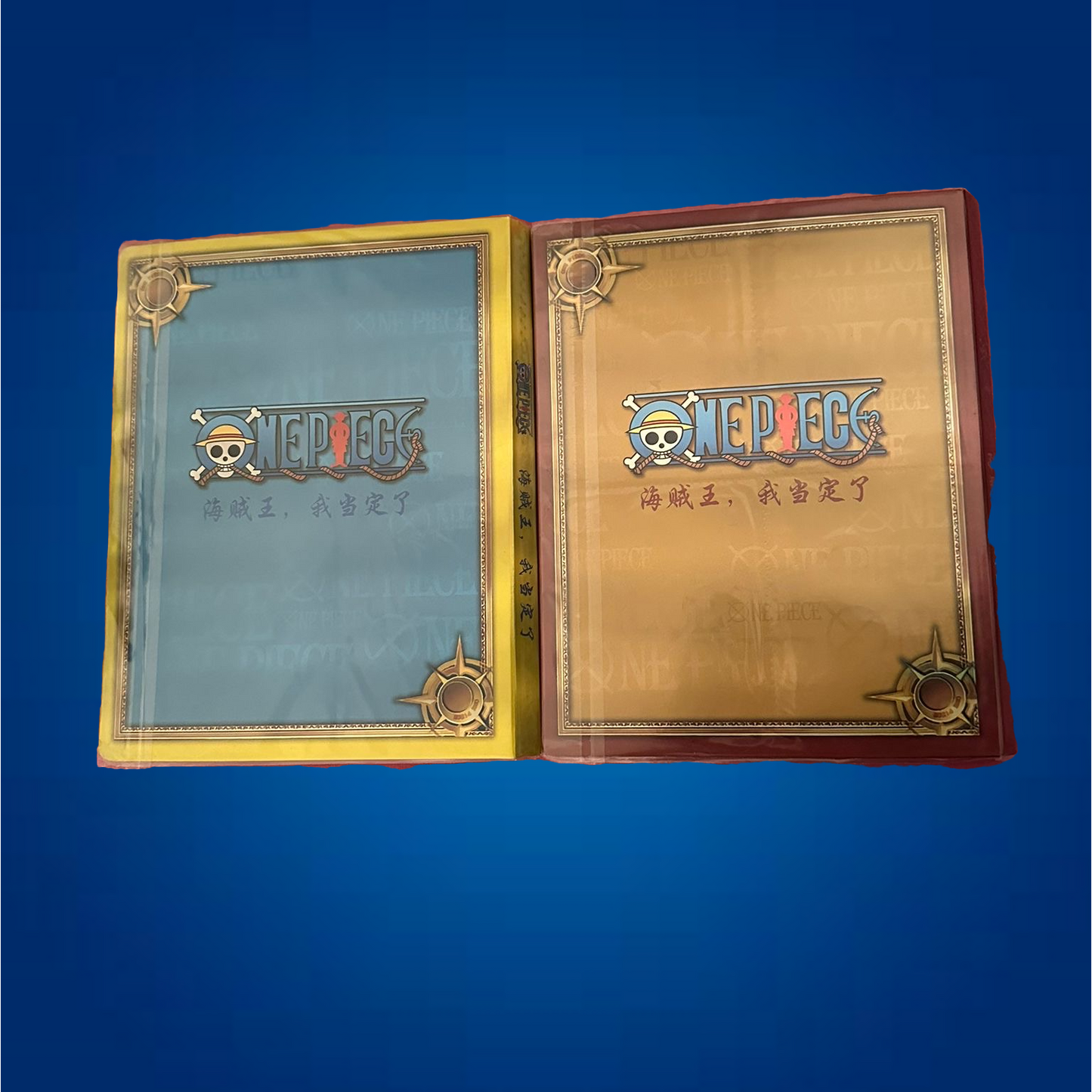 Classeur pour carte à collectionner