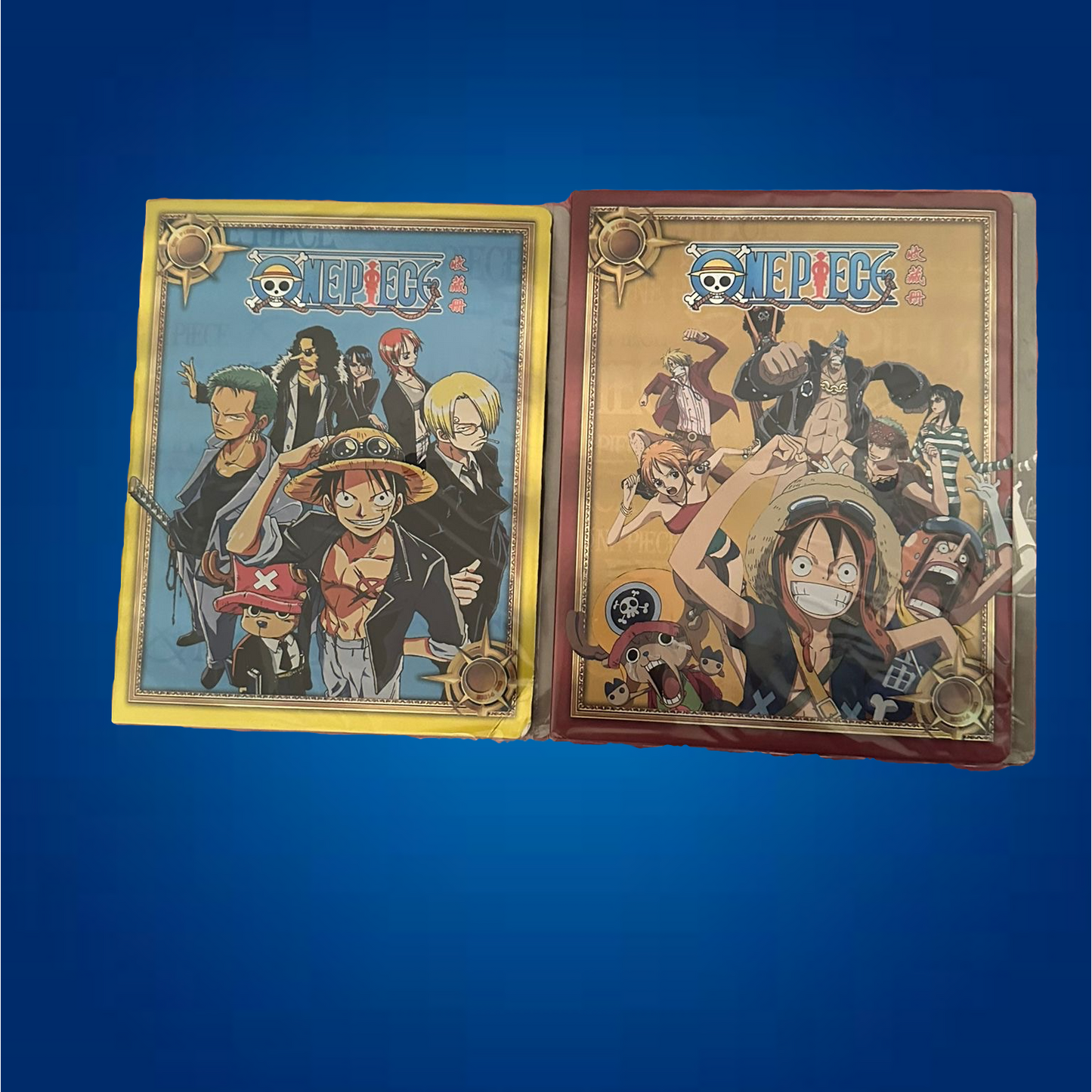 Classeur pour carte à collectionner